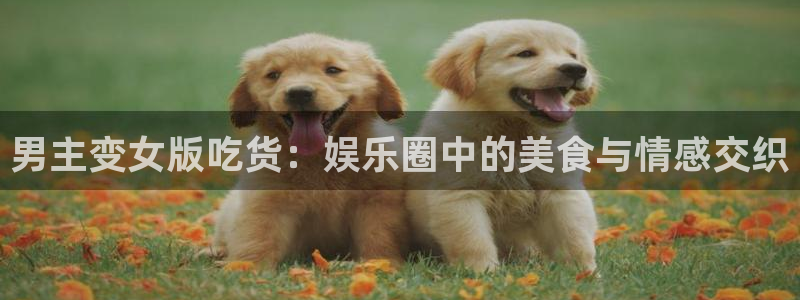 bg大游官网：男主变女版吃货：娱乐圈中的美食与情感交织