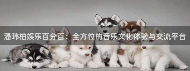bg大游娱乐官网：潘玮柏娱乐百分百：全方位的音乐文化体验与交流平台