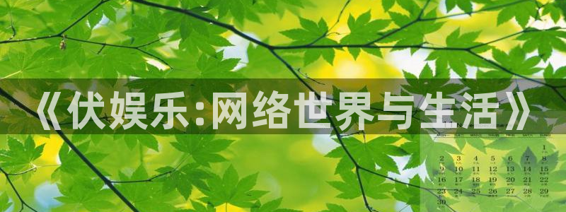 bg大游娱乐：《伏娱乐:网络世界与生活》