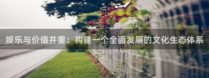 bg大游娱乐：娱乐与价值并重：构建一个全面发展的文化生态体系
