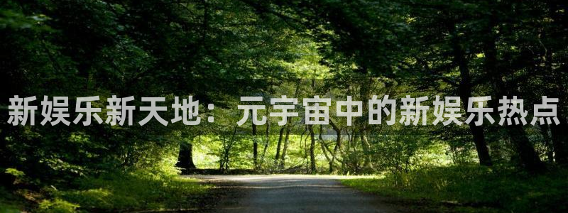 bg大游娱乐官网：新娱乐新天地：元宇宙中的新娱乐热点