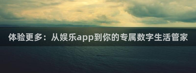bg大游app