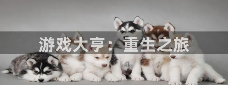 bg大游